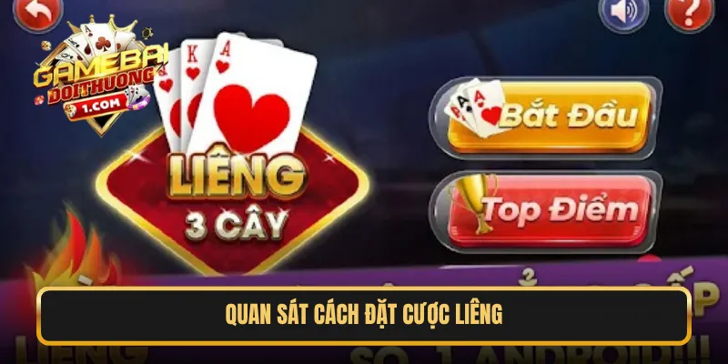 Quan sát cách đặt cược Liêng